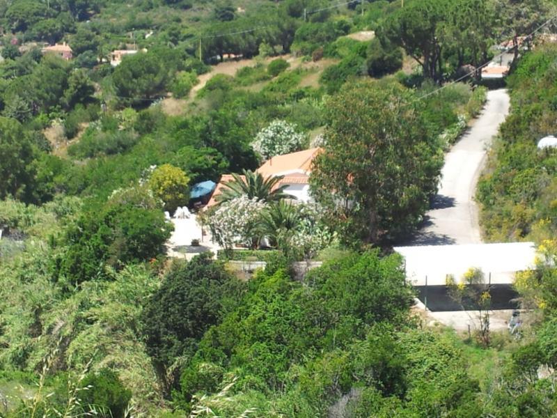 Alloggi Del Mirto A Morcone - Goelba Capoliveri  Dış mekan fotoğraf