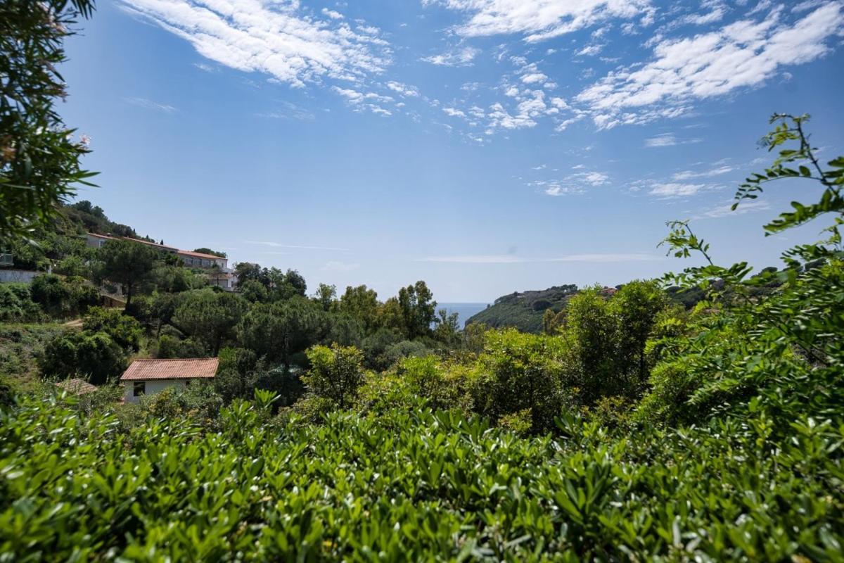 Alloggi Del Mirto A Morcone - Goelba Capoliveri  Dış mekan fotoğraf
