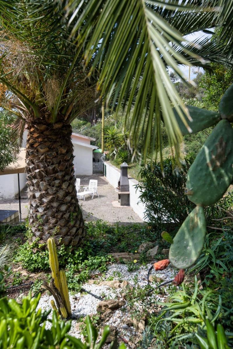 Alloggi Del Mirto A Morcone - Goelba Capoliveri  Dış mekan fotoğraf