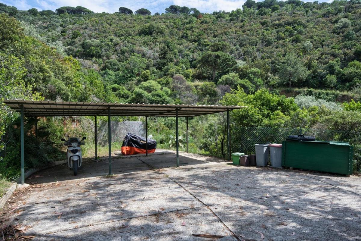 Alloggi Del Mirto A Morcone - Goelba Capoliveri  Dış mekan fotoğraf