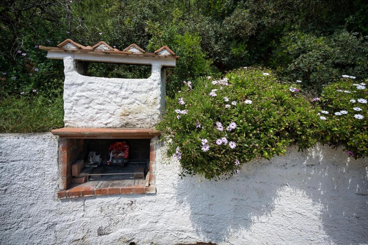 Alloggi Del Mirto A Morcone - Goelba Capoliveri  Dış mekan fotoğraf